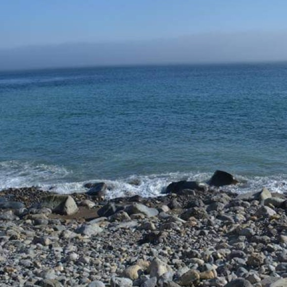 Meet your Posher, Rina.